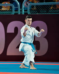 Ali Sofuoğlu - Sporcu (30 yaşında) - Ana profil fotoğrafı ve resmi görsel