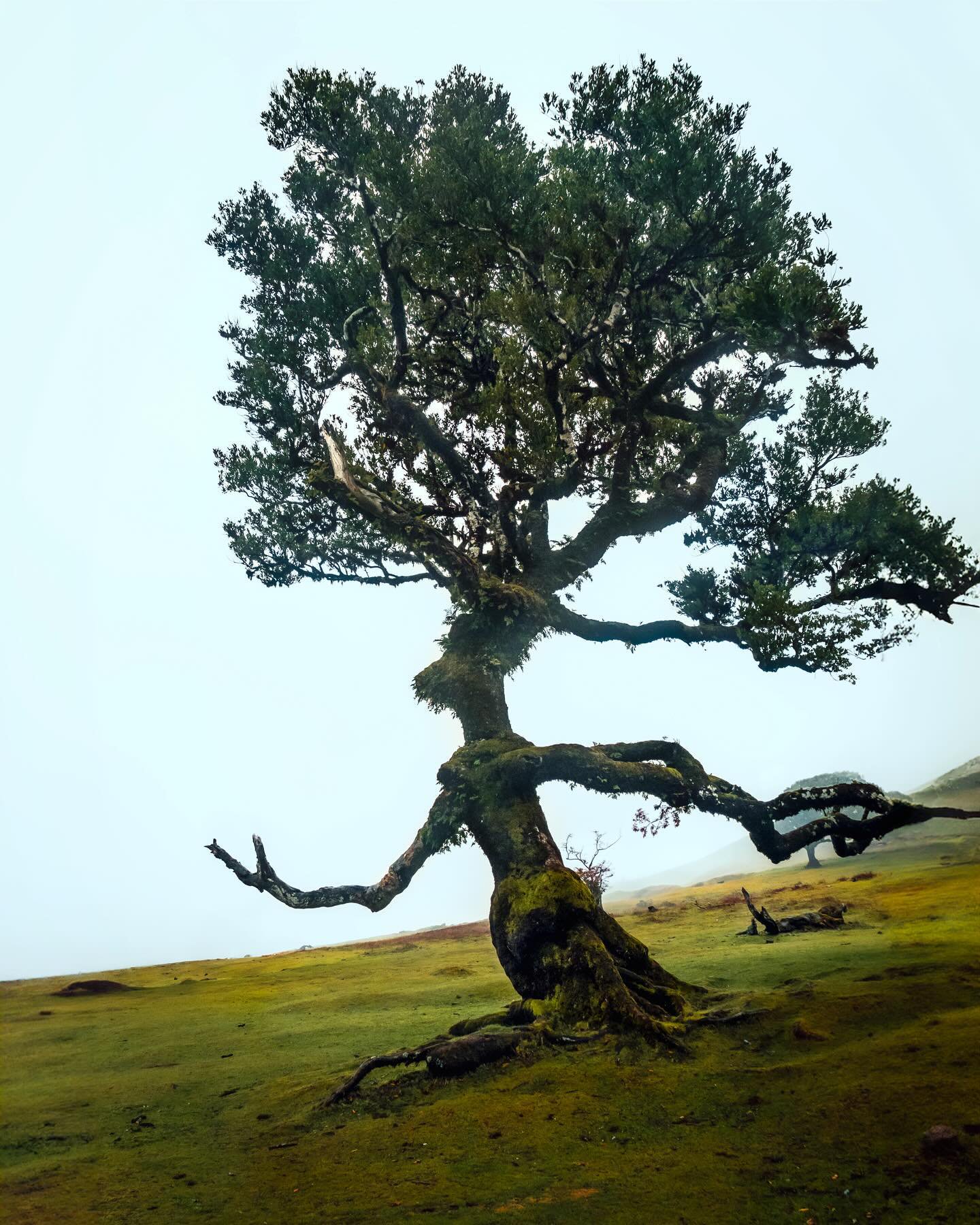 Berk Hakman - Oyuncu (44 yaşında) - günlük yaşam fotoğrafı